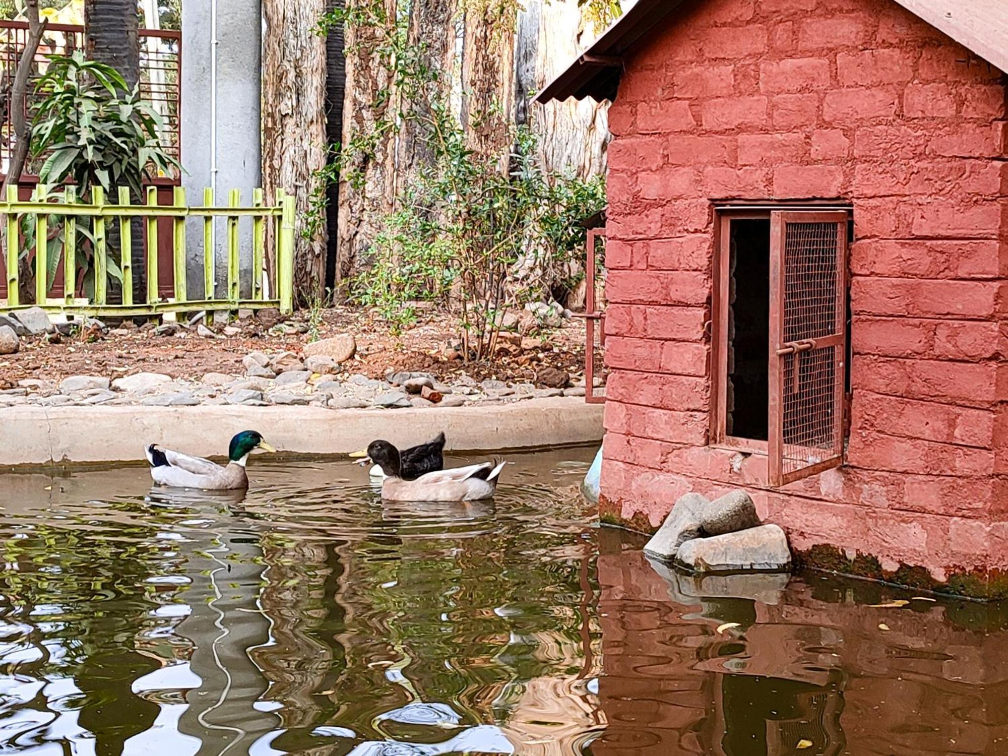 Van Vagdo Resort Rajpipla エクステリア 写真