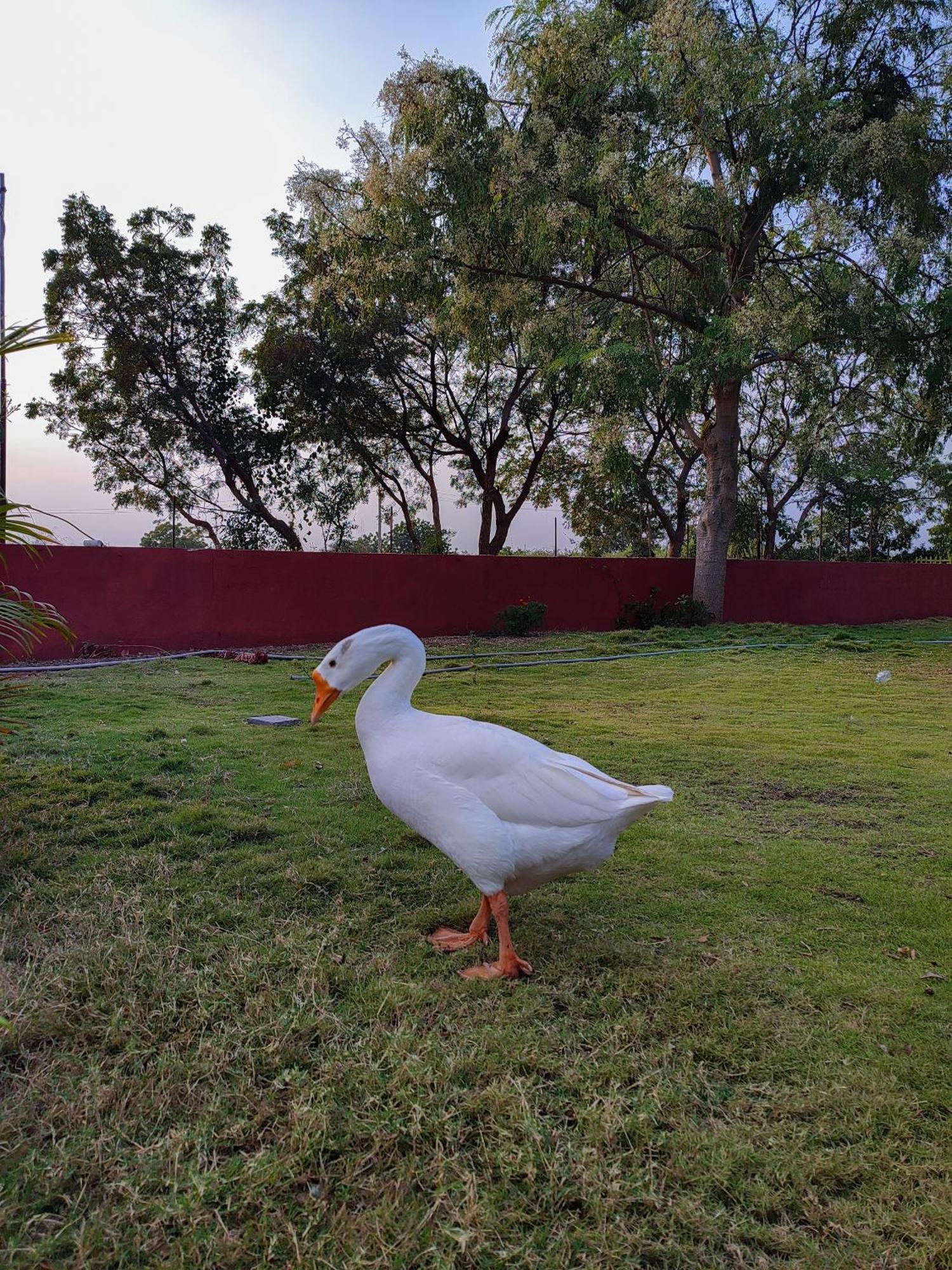 Van Vagdo Resort Rajpipla エクステリア 写真
