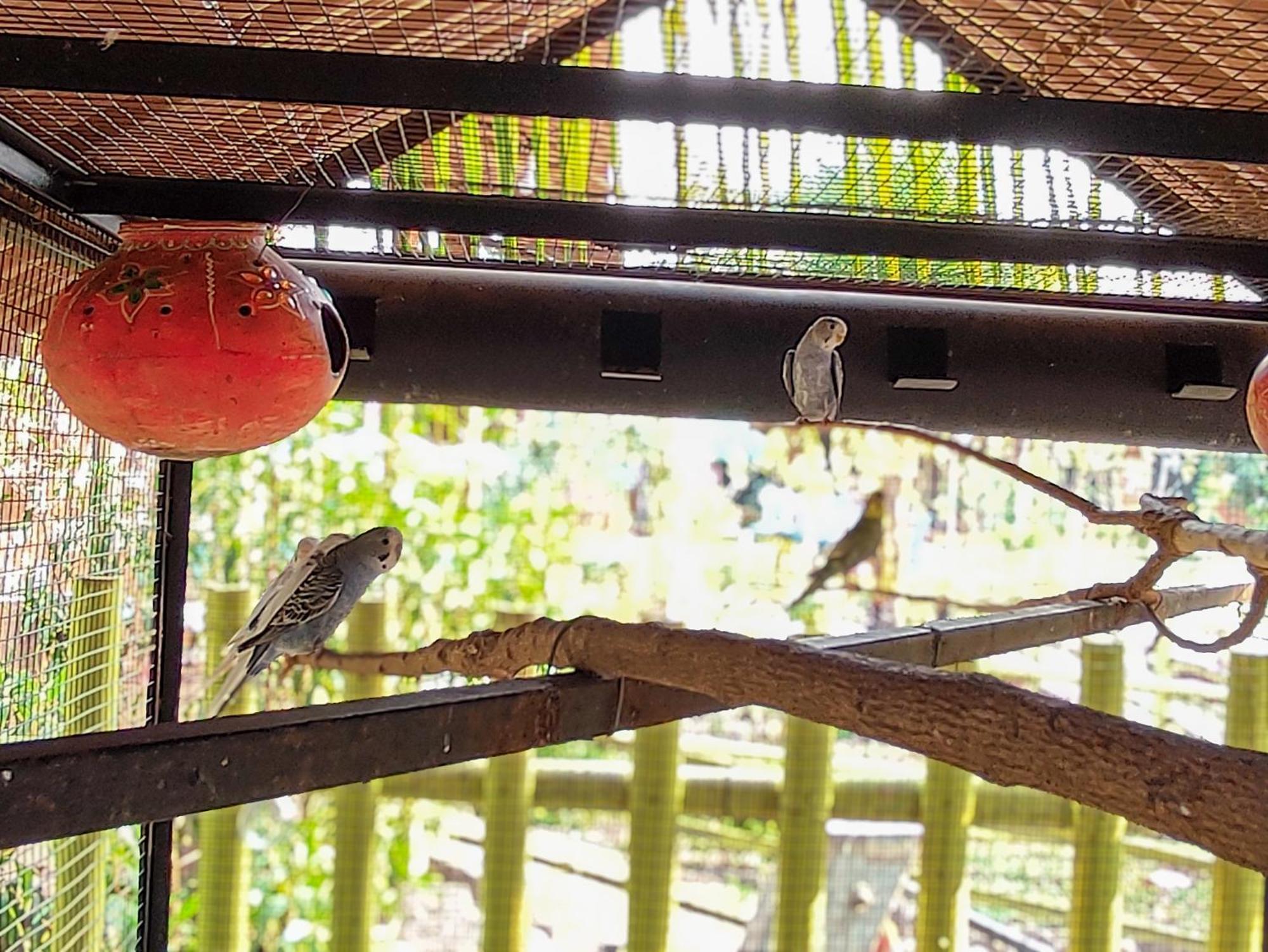 Van Vagdo Resort Rajpipla エクステリア 写真