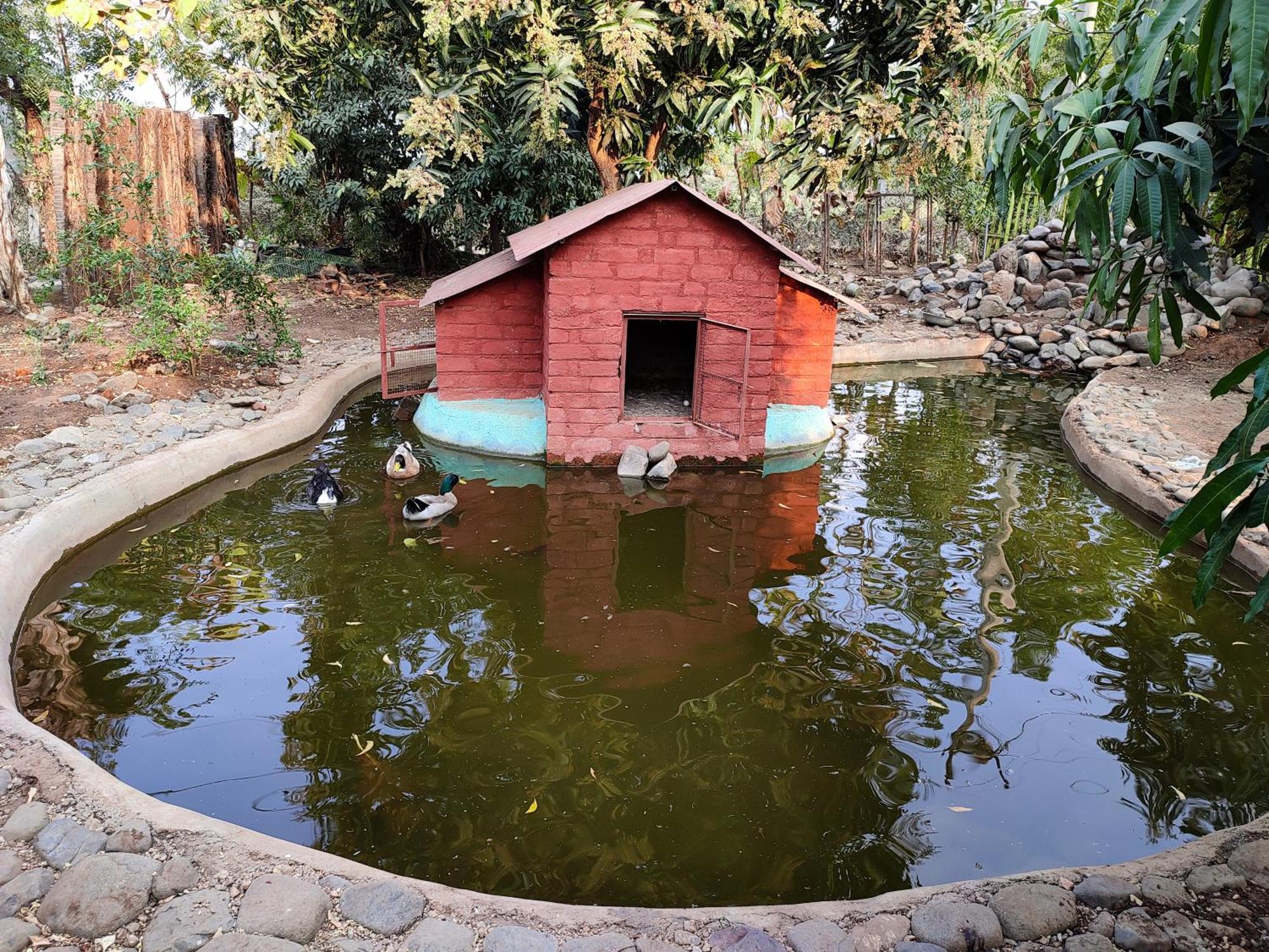 Van Vagdo Resort Rajpipla エクステリア 写真